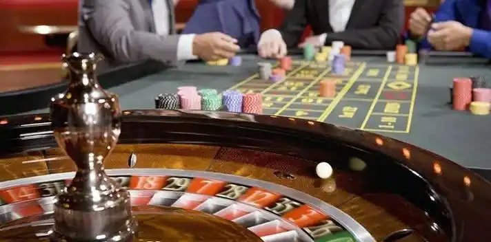 Tampilan rekap kemenangan dan statistik hasil taruhan di akun hss303 Indonesia